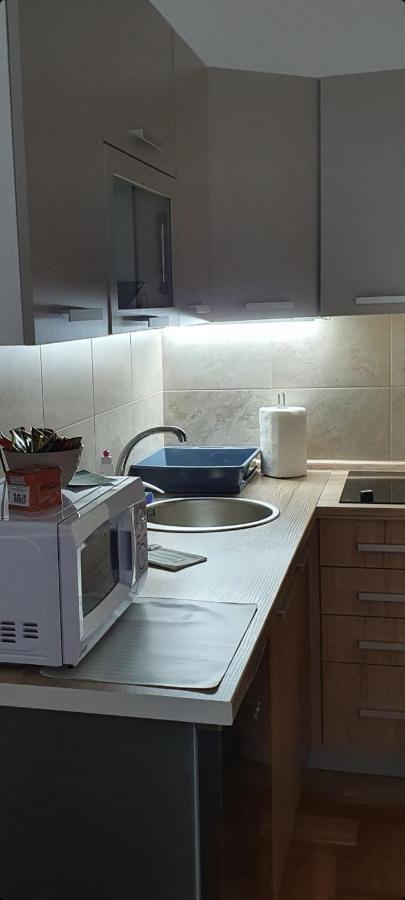 Apartman Tim Lux 1 Vrnjačka Banja 外观 照片