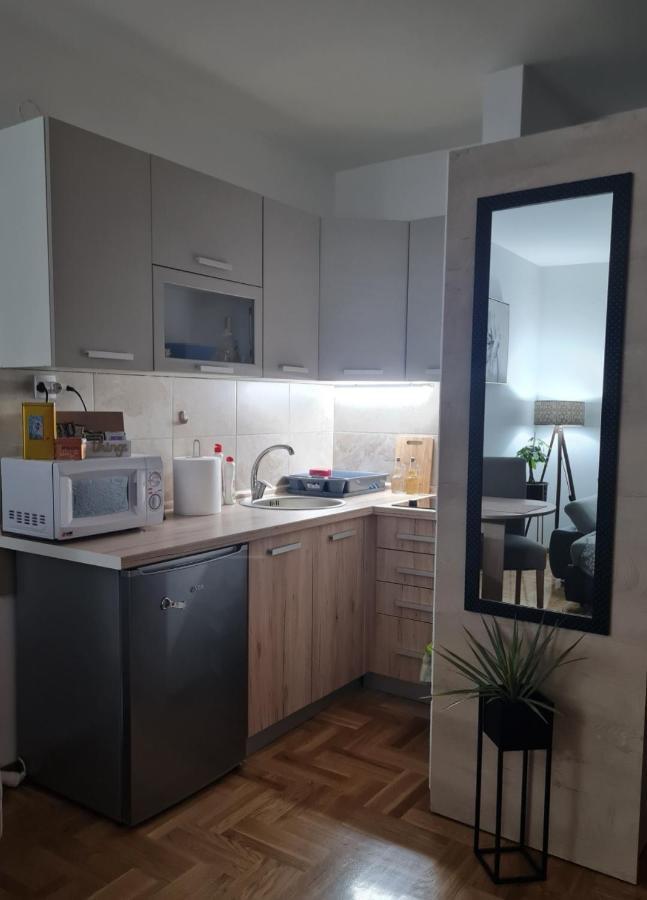 Apartman Tim Lux 1 Vrnjačka Banja 外观 照片