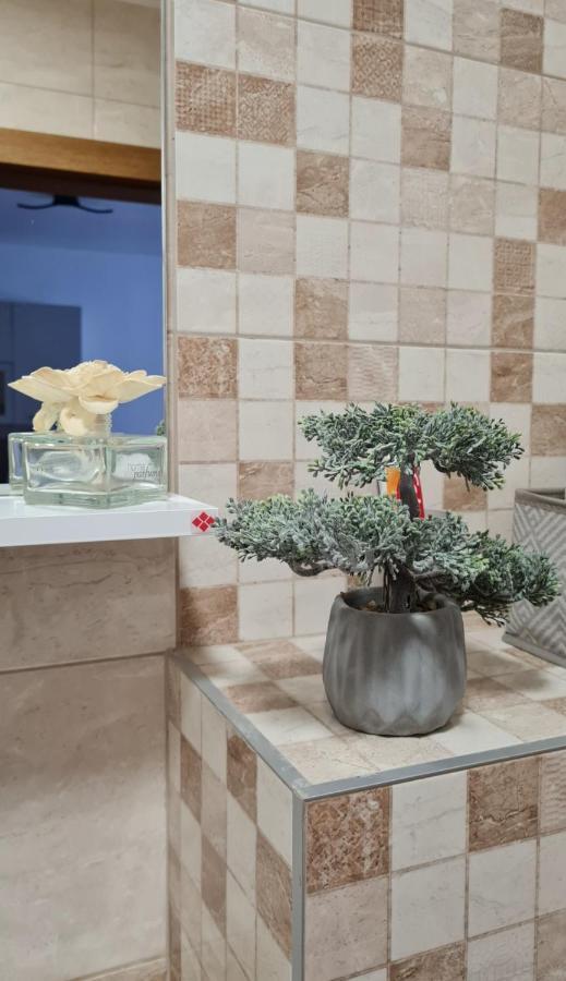 Apartman Tim Lux 1 Vrnjačka Banja 外观 照片