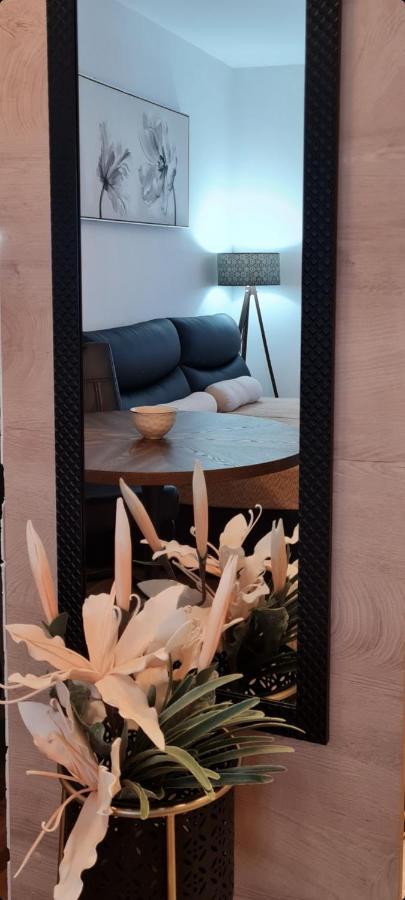 Apartman Tim Lux 1 Vrnjačka Banja 外观 照片